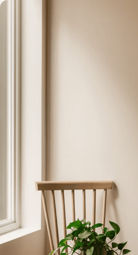 A calm interior with a chair and plant